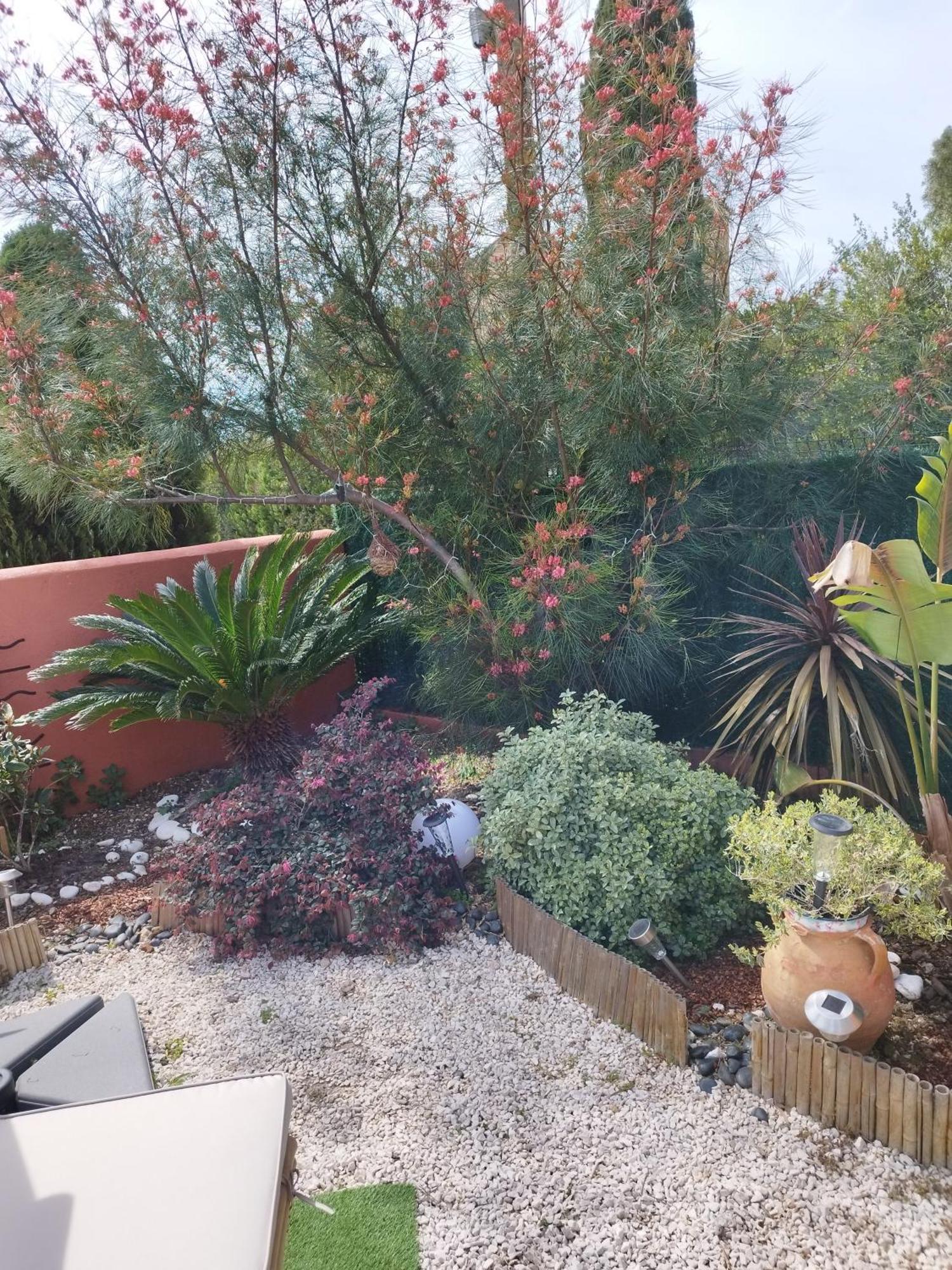 Villa Le Petit Atelier Bormes-les-Mimosas Camera foto